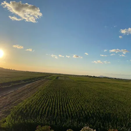 Restorant Pizzeri Anxhelo 카바여