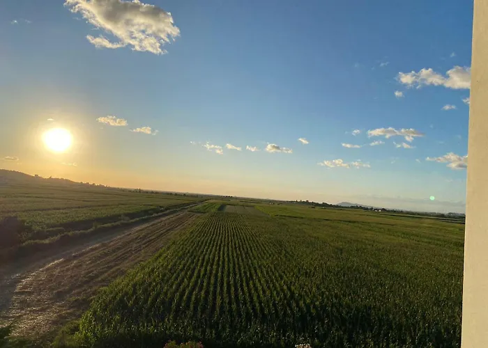 Restorant Pizzeri Anxhelo Kavaje